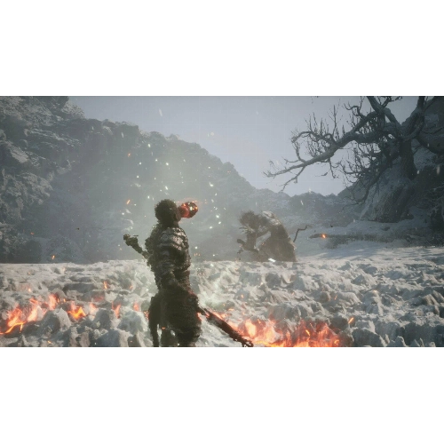Игра Black Myth: Wukong Deluxe Edition для PS5